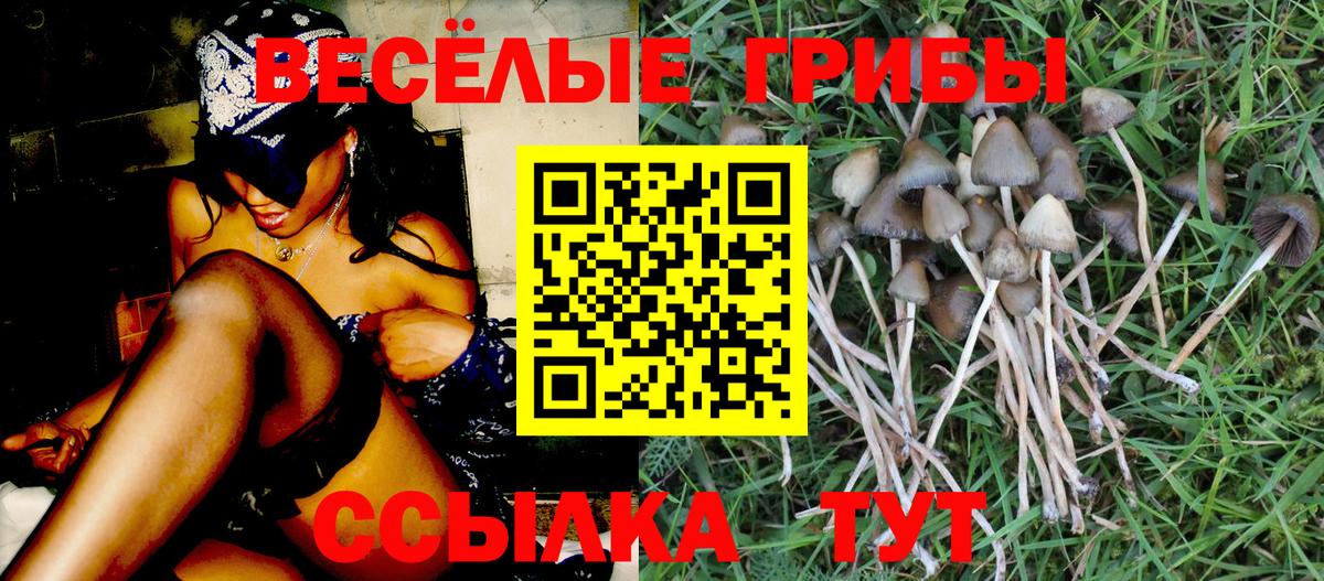 Галлюциногенные грибы мицелий  Галлюциногенные грибы GOLDEN TEACHER  Вход с VPN  Гагарин 