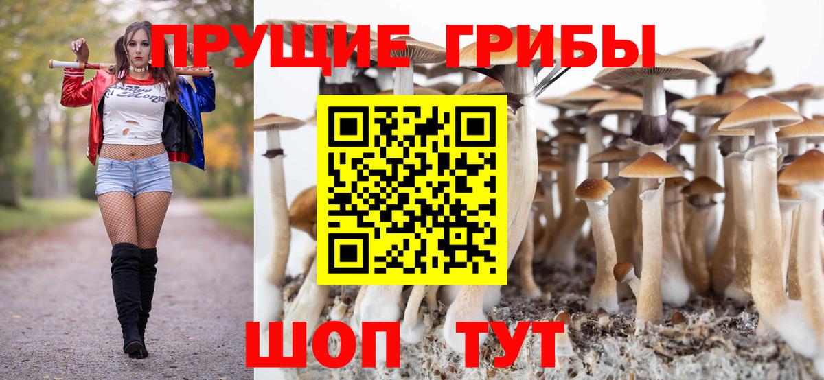 Псилоцибиновые грибы Psilocybine cubensis Гагарин