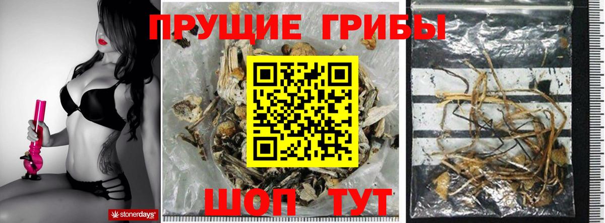 Меф Гагарин